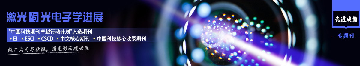 激光与光电子学进展—先进成像专题刊